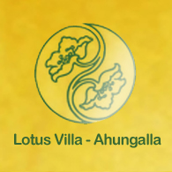 Lotus Villa - Government Certified Ayurveda Hospital