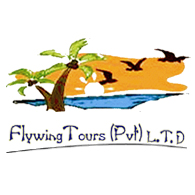 Flywing Tours