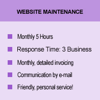 Website Maintain